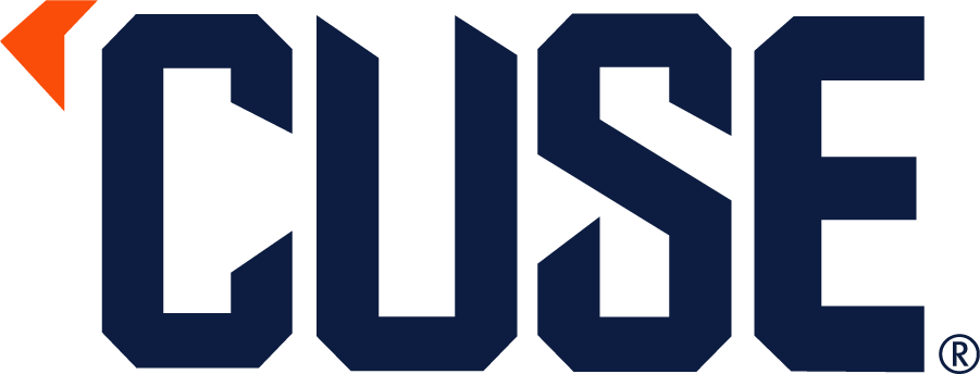 Syracuse Orange 2004-2006 Wordmark Logo DIY iron on transfer (heat transfer)